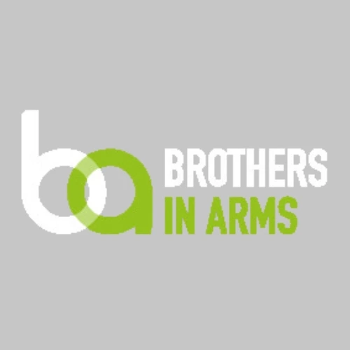 Brother-in-Arms-logo