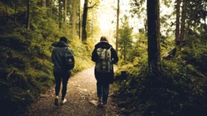 Two-people-hiking-in-a-forest-trail-surrounded-by-green-spaces-and-trees
