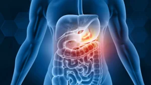 An-illustration-of-the-digestive-system-symbolizing-the-calming-effects-of-meditation-on-gut-health