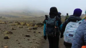Kilimanjaro-Journey-Climbers-trekking-towards-the-peak